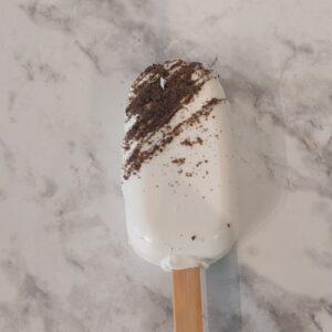 Chocolate Cakesicles (Random Shell and Decorations)