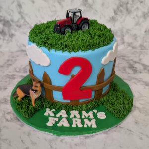 Farm Cake